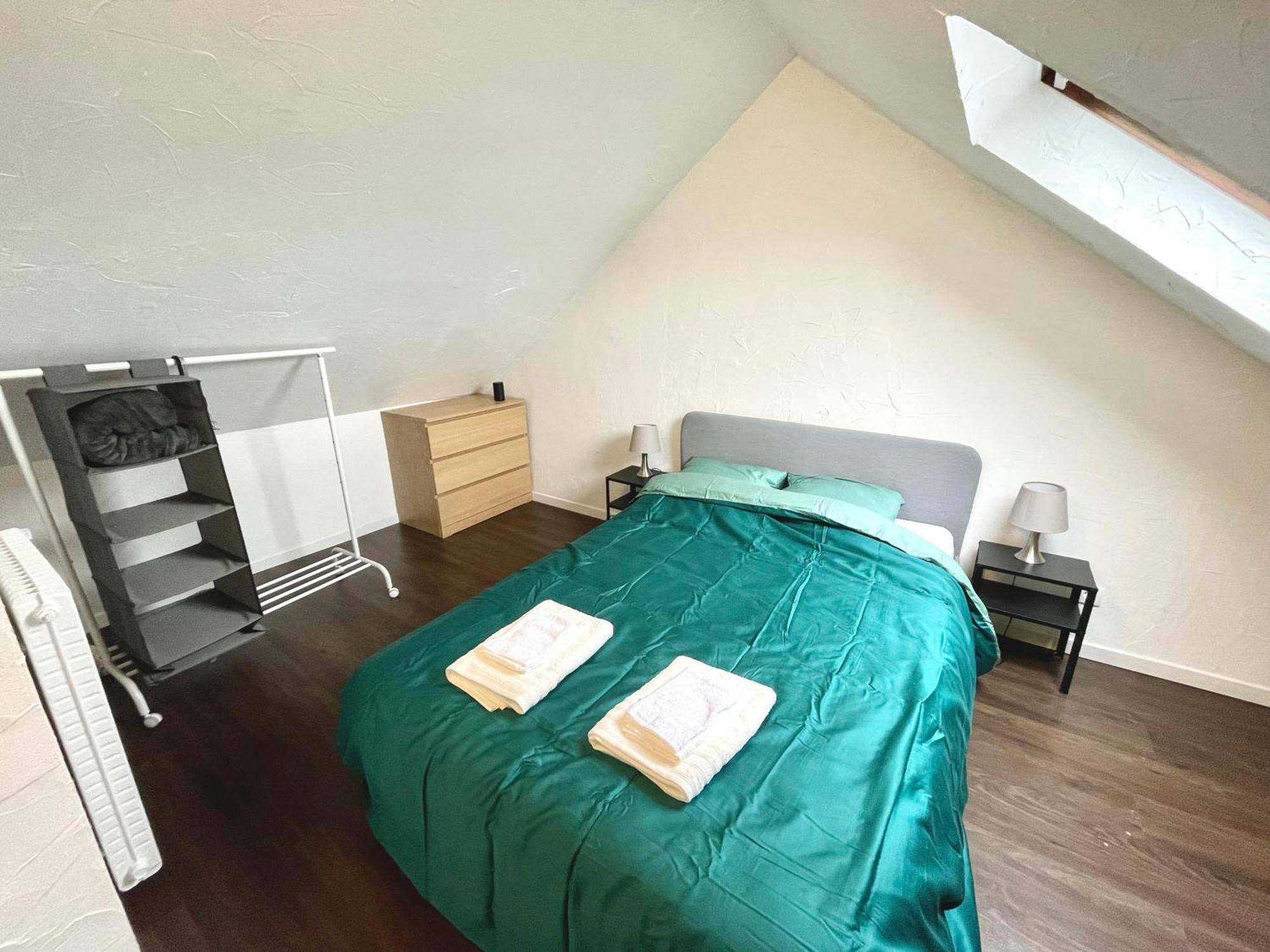 Appartement Duplex 90M2 - 3 Chambres - Mulhouse Ngoại thất bức ảnh
