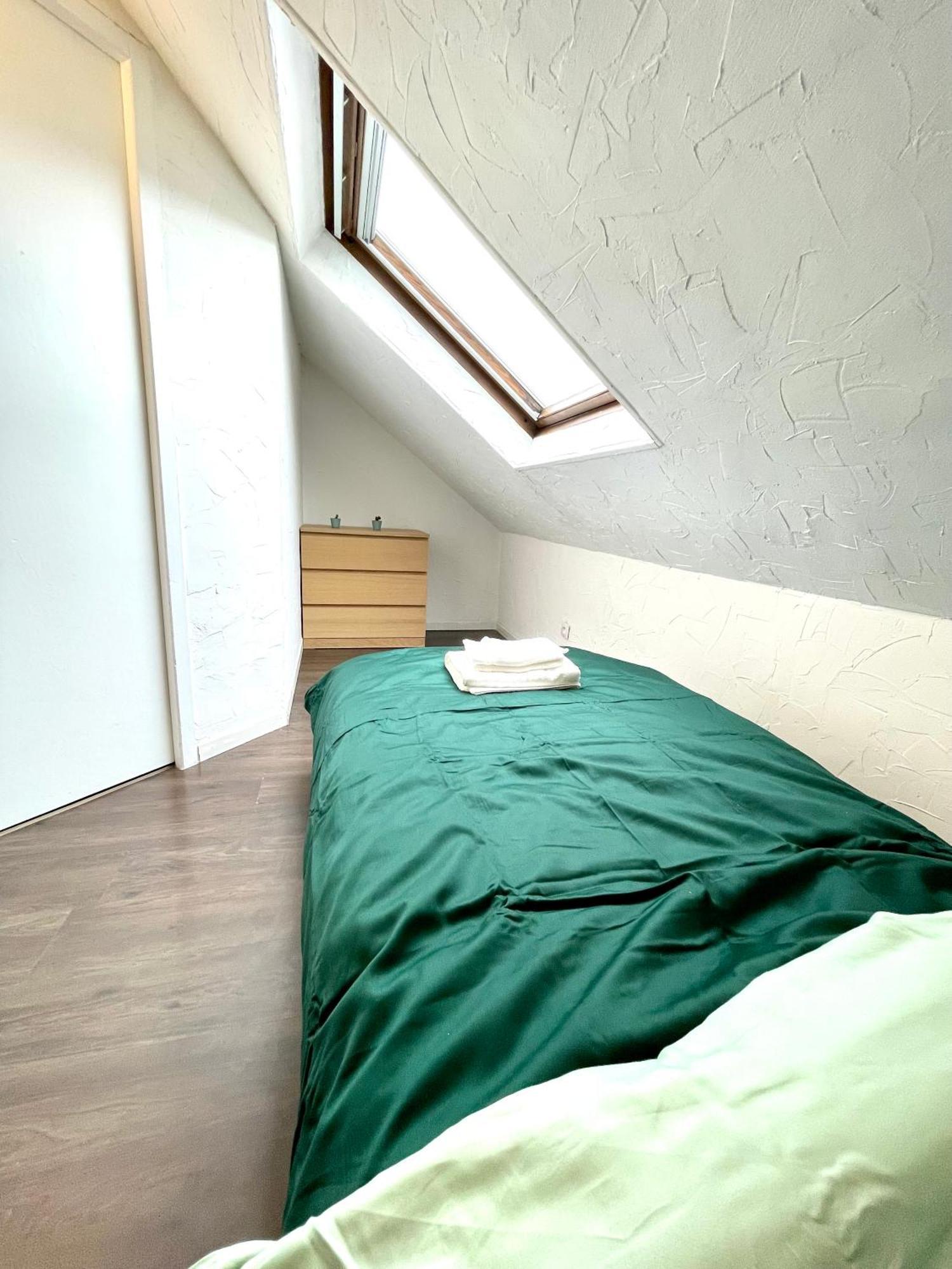 Appartement Duplex 90M2 - 3 Chambres - Mulhouse Ngoại thất bức ảnh