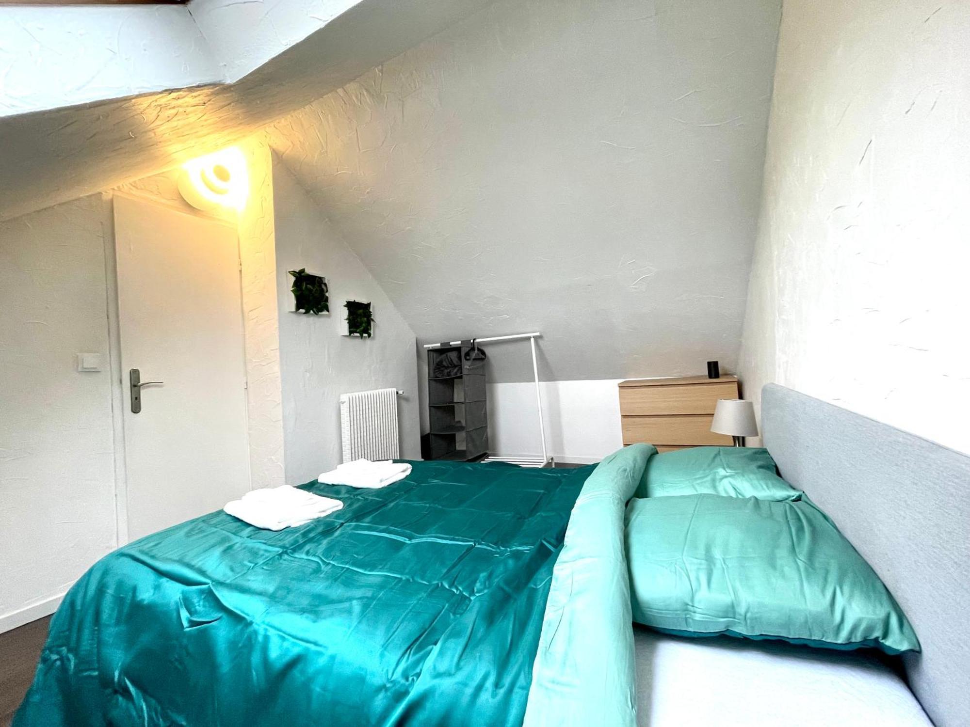 Appartement Duplex 90M2 - 3 Chambres - Mulhouse Ngoại thất bức ảnh