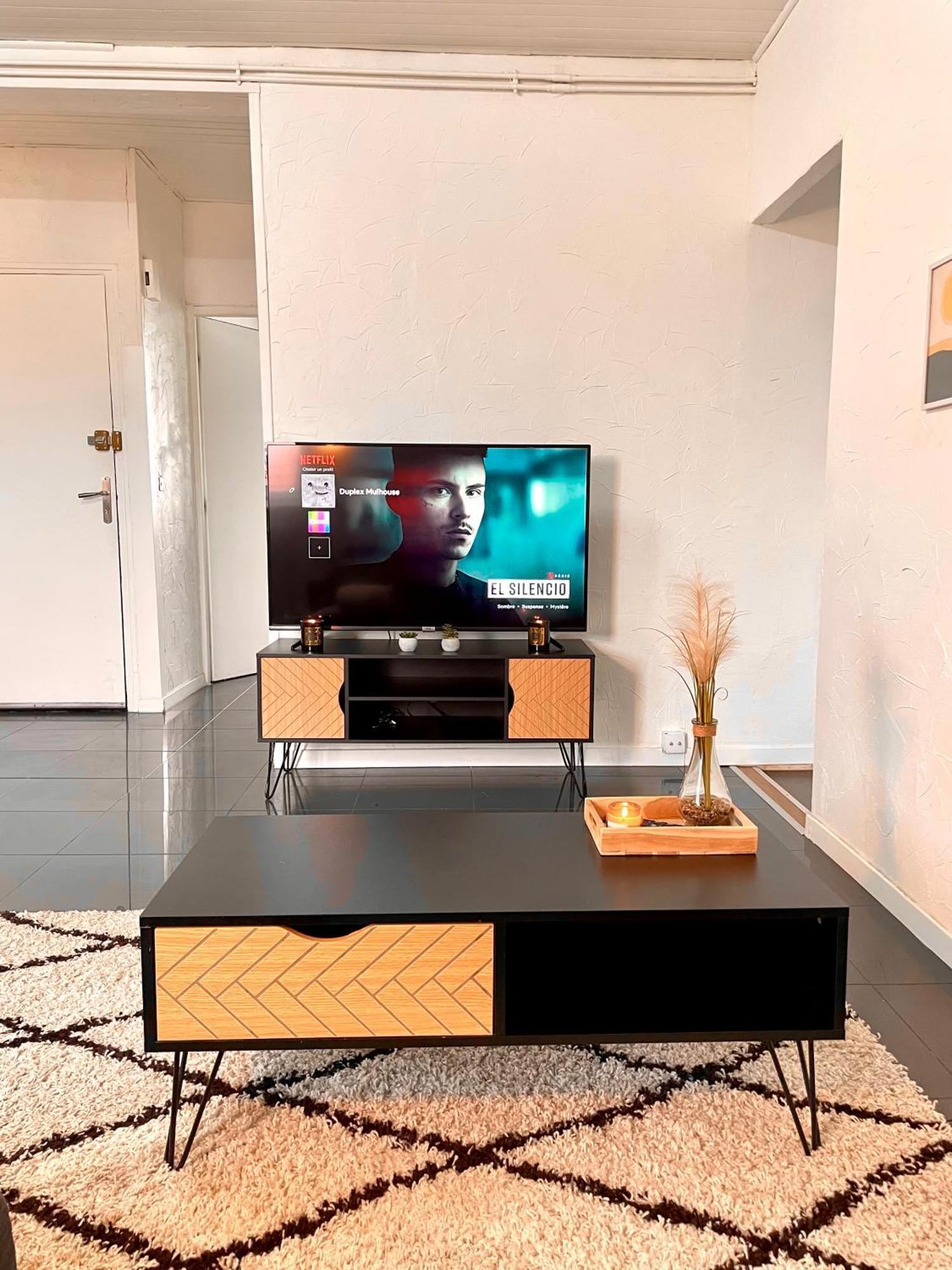 Appartement Duplex 90M2 - 3 Chambres - Mulhouse Ngoại thất bức ảnh