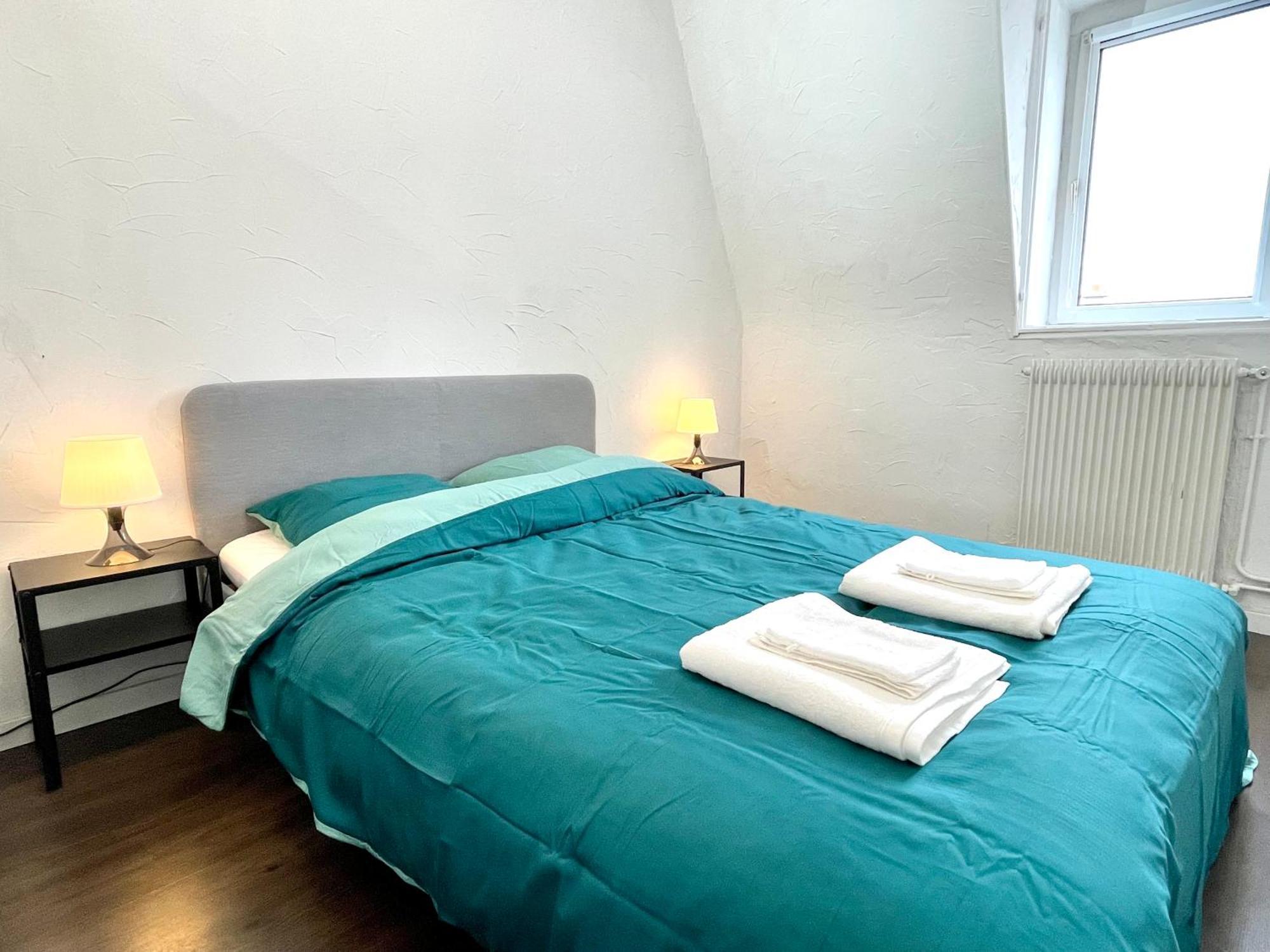 Appartement Duplex 90M2 - 3 Chambres - Mulhouse Ngoại thất bức ảnh