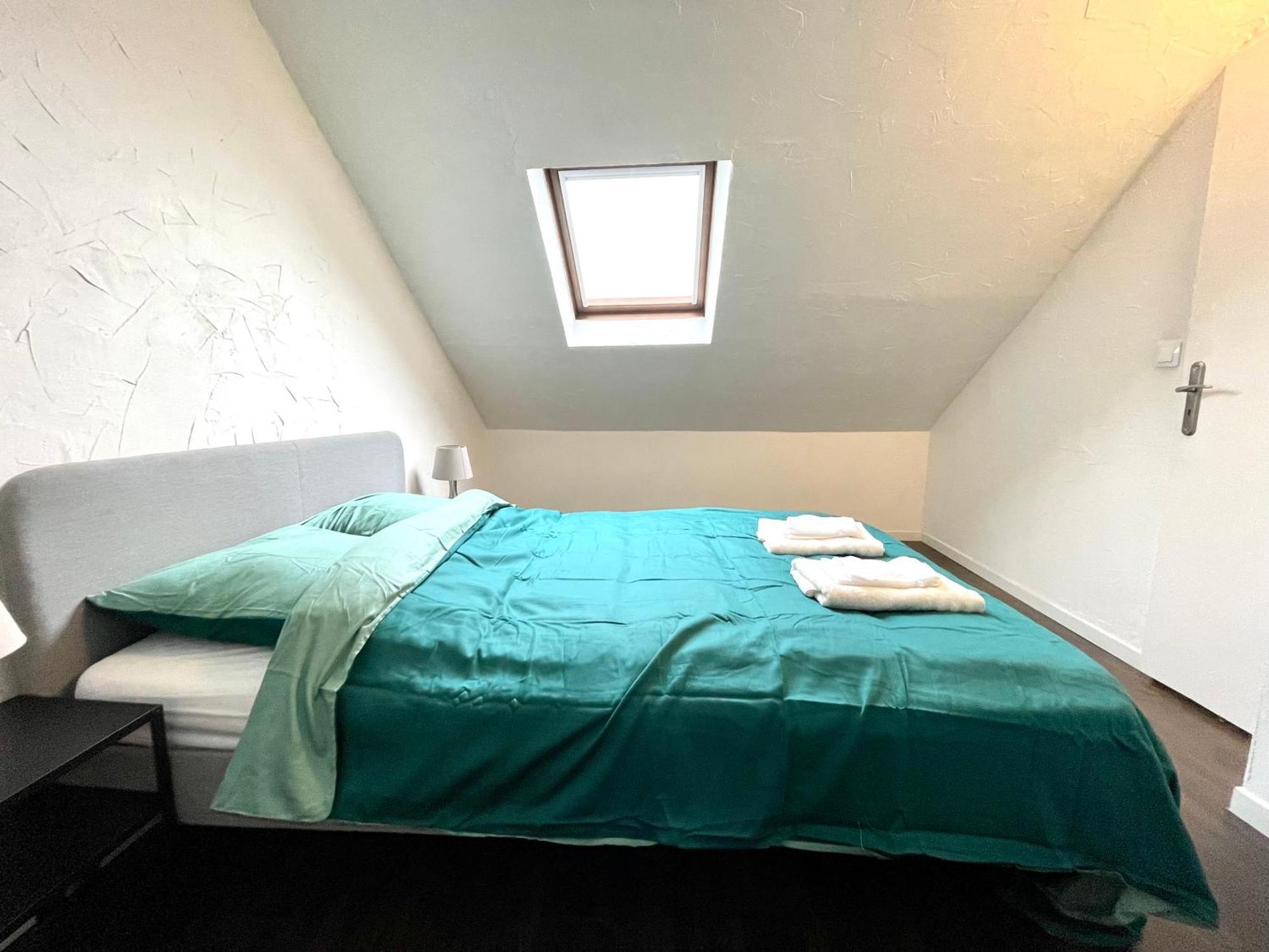 Appartement Duplex 90M2 - 3 Chambres - Mulhouse Ngoại thất bức ảnh